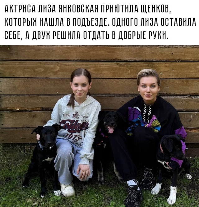 🐶 Собака может стать душой семьи — если все готовы де?...