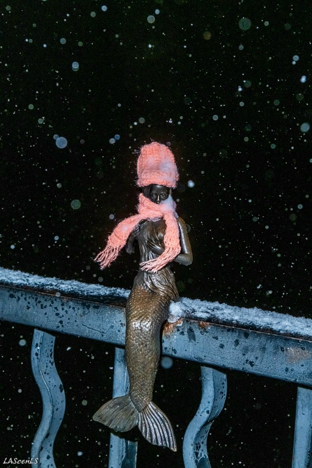 Они почувствовали на себе первый снег и холод.
Фото: Юр...