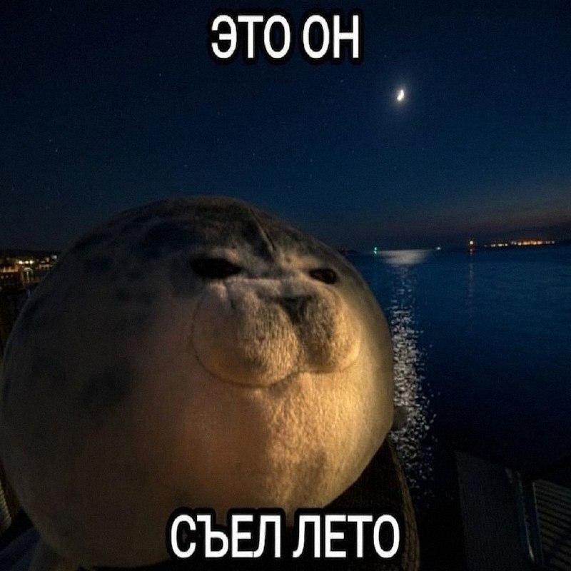 Утренняя подборочка