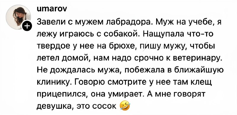 Заорал, обосрался и пустил слюни
Кожаные рассказали о самых бесполезных визитах к ветеринару. Кажда