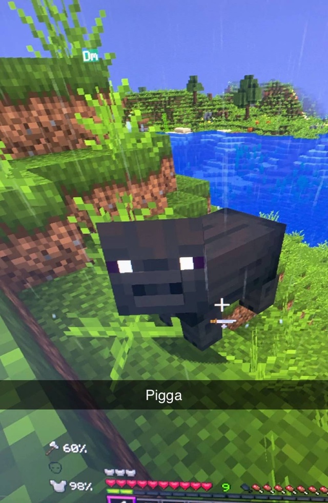 Новая обнова в Minecraft выглядит прекрасно.