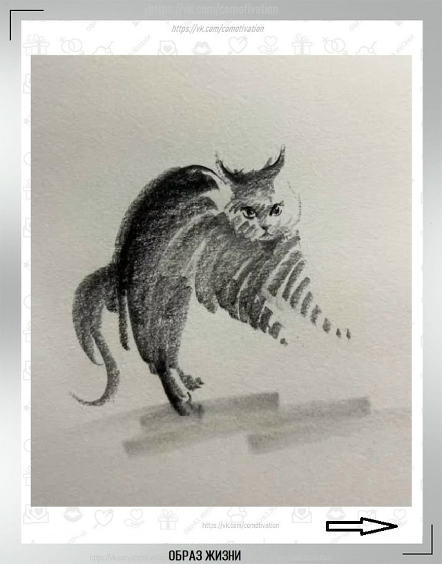 Вот такая милота. Ну куда же без кота.