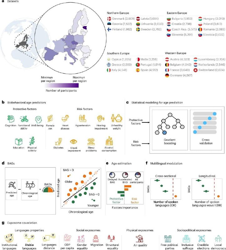 Изучение новых языков замедляет старение.
К такому выводу пришло крупнейшее исследование с участие