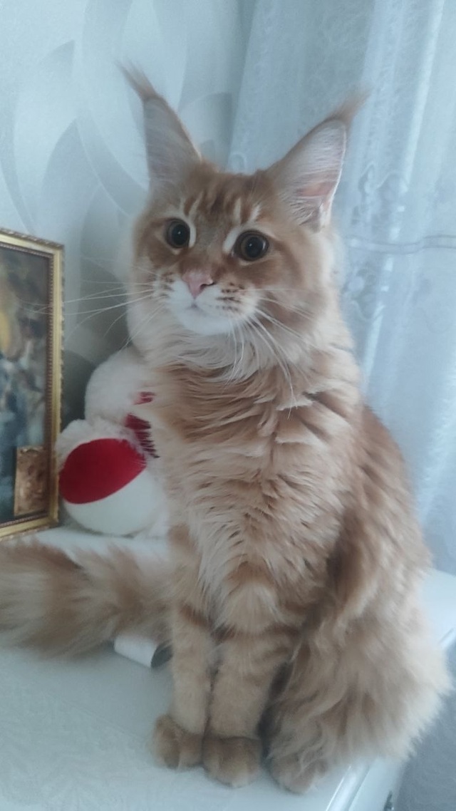 #ПотерялиНашлиПомогите
1 Здравствуйте, плавали на лод...