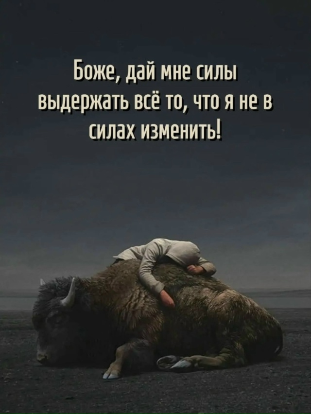 Лучше принять и успокоиться❤