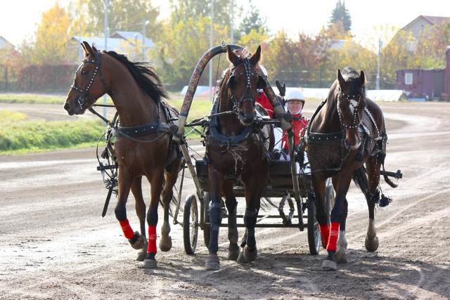 ? Вельская тройка завоевала 3 место на Кубке Русских т...
