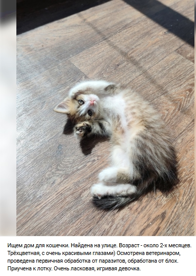 Пост добра. Распространите, пожалуйста.