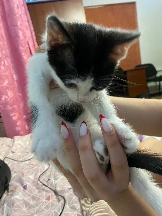 Ну что , поехали !?
Опять или снова , это уже решать вам ,...