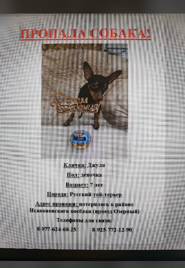 ❗️❗️❗️мои милые, срочно нужна ваша помощь!
У моих д...