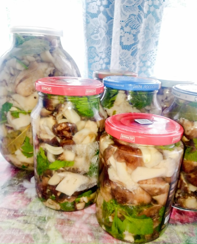 Пром. Три литра 1500, Один литр 500 руб обращаться по тел +790...