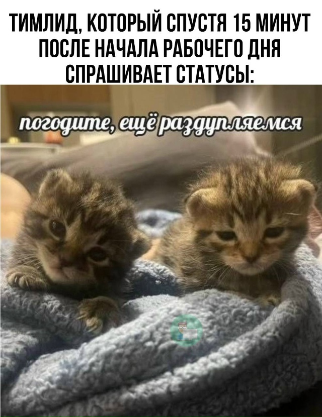 К пятницу уже пора 
#humor@pylounge