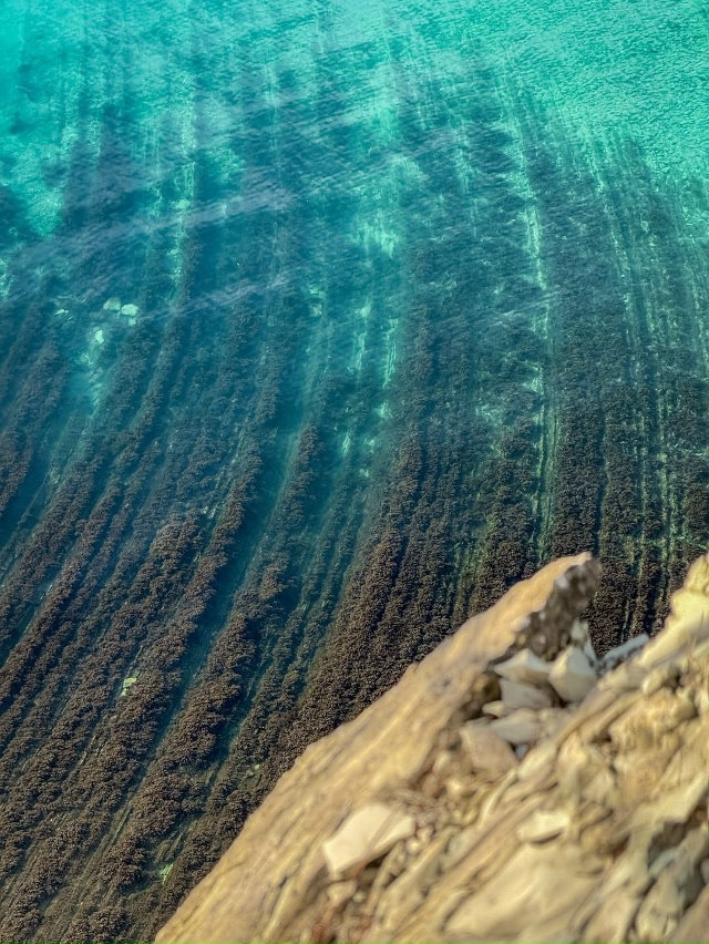 Мыс Дооб, Геленджик 🇷🇺