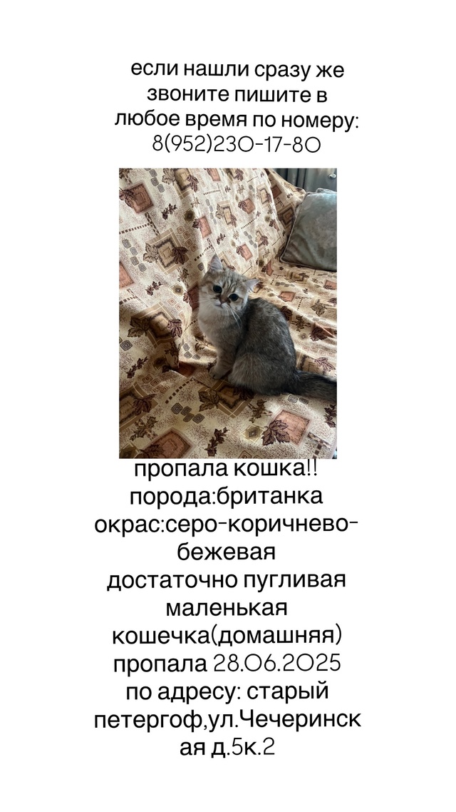 привитая не кусается!!
8(952)230-17-80 Мария
#фото #петергоф