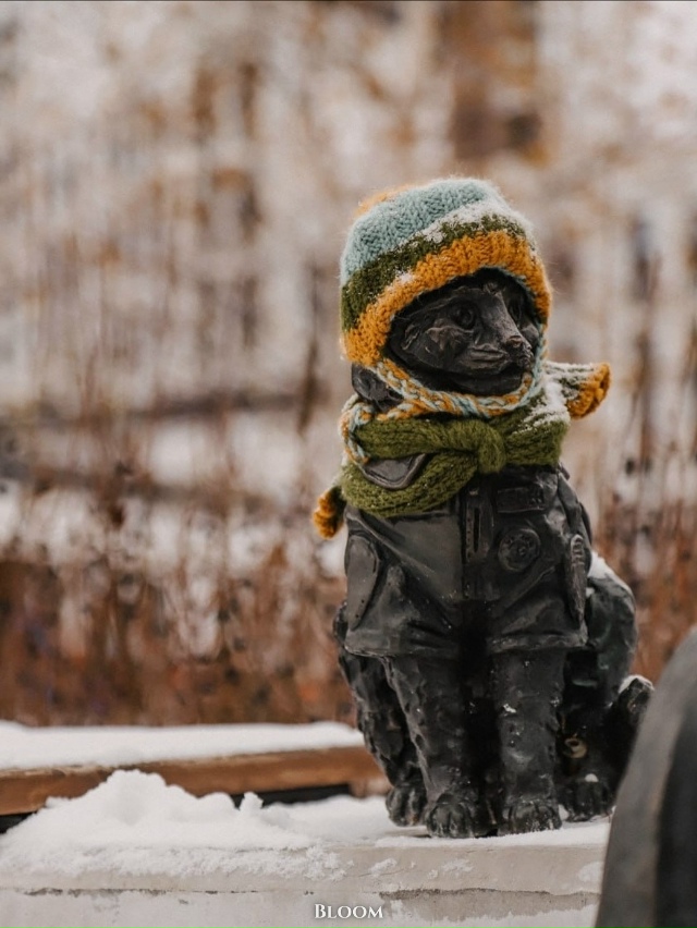 Памятник коту Семёну в Тюмени встретил первый снег в п?...