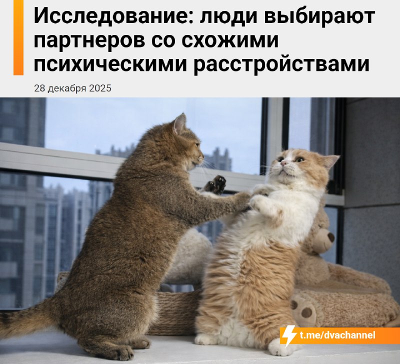 Учёные выяснили, что люди часто выбирают партнёров с похожими психическими расстройствами
Исследова