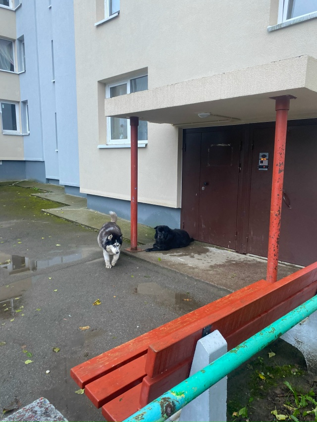 Доброе утро. В 9:50 с женщиной пересеклись в магазине в 32 ...