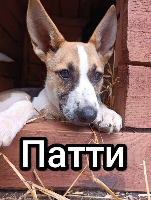 Ваш репост- это шанс обрести семью.
Дорогие друзья.
Хоч...