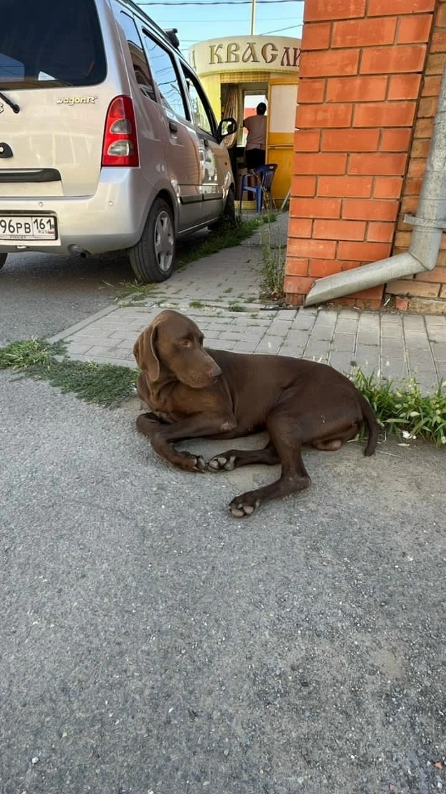 Всем здравствуйте!
Наверное, многие из вас помнят скол...