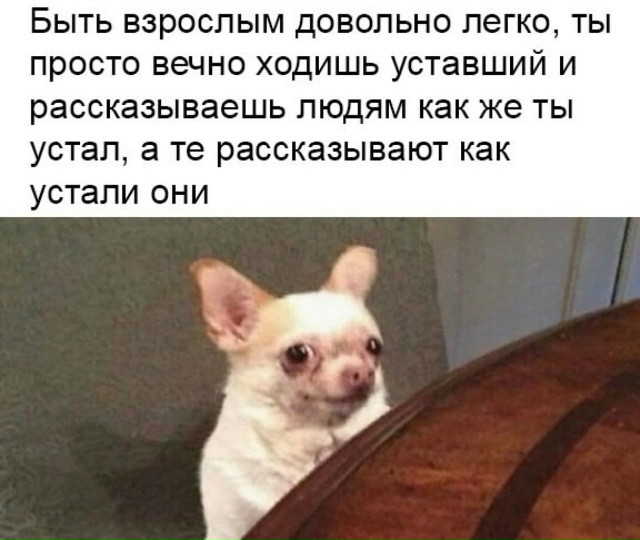 И правда ведь!