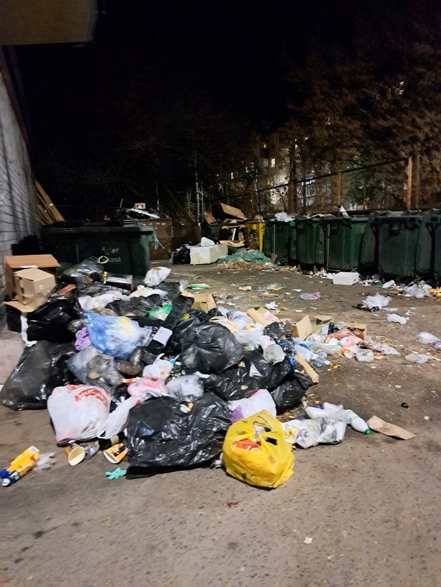 ‼ Очередное мусорное безумие в центре Курска. На этот ?...