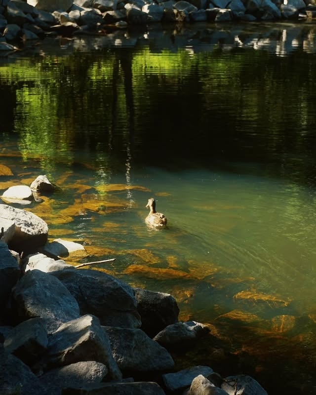 Лето в столице Урала🍃