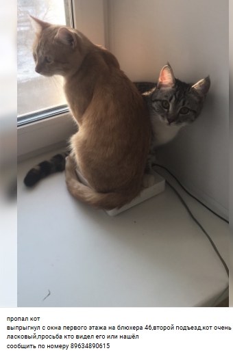 Пост добра. Распространите, пожалуйста.