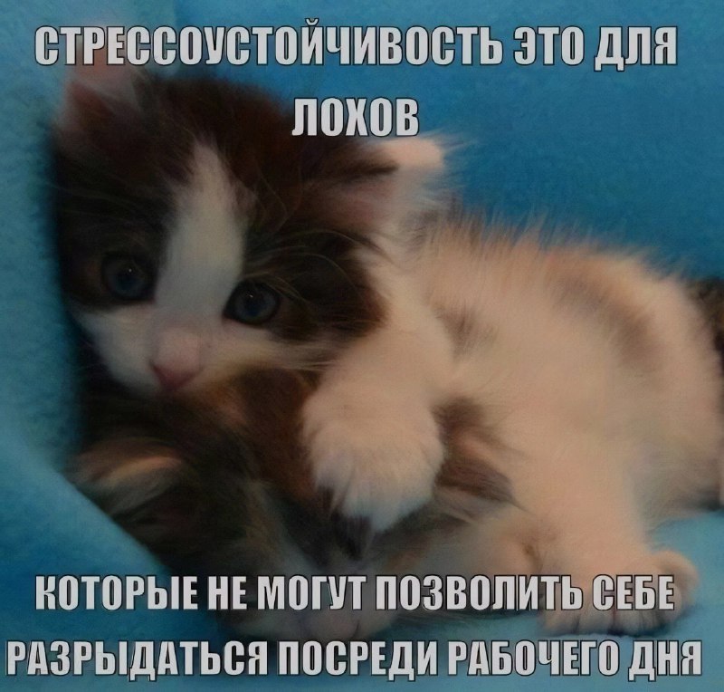 Ночная подборочка
Спать, режим