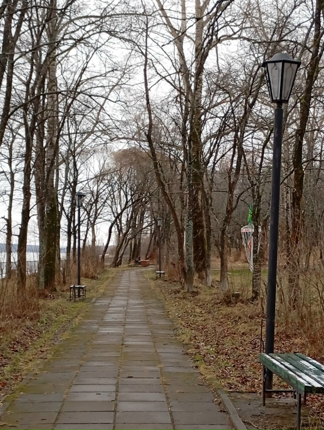 Начало декабря... (03.12.25.)