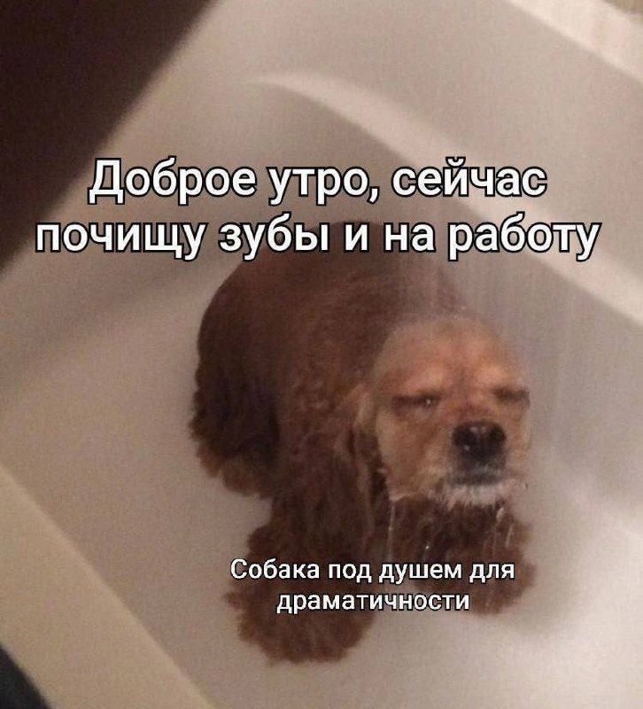 Утренняя подборочка