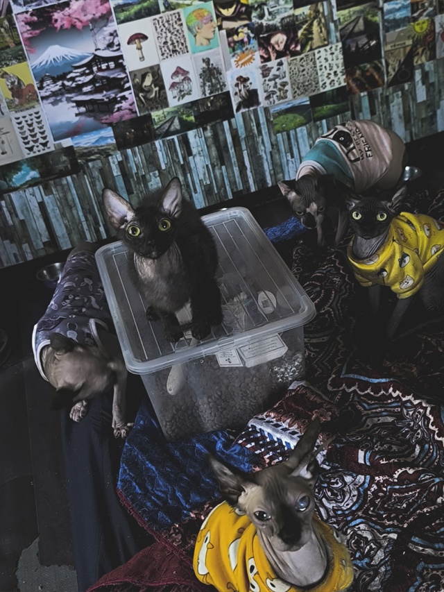 Привет всем.
Банда ?
Пыль,Слон,Пушкин,Грязь,Леопольд,Н...