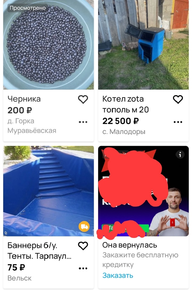 Уже начали продавать чернику в Вельске. 200₽/литр. Анон, ...