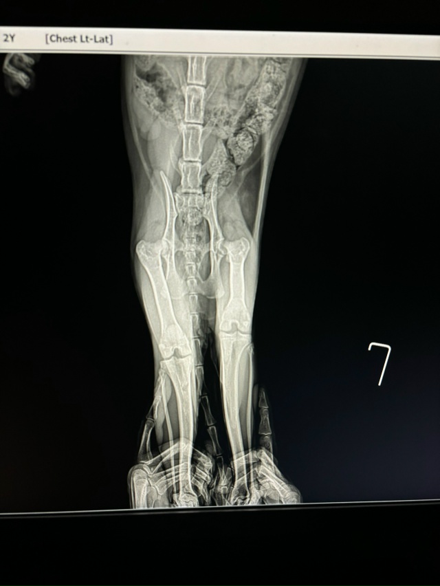 Уважаемые и неравнодушные подписчики ПвТ!
Обращаюсь ?...