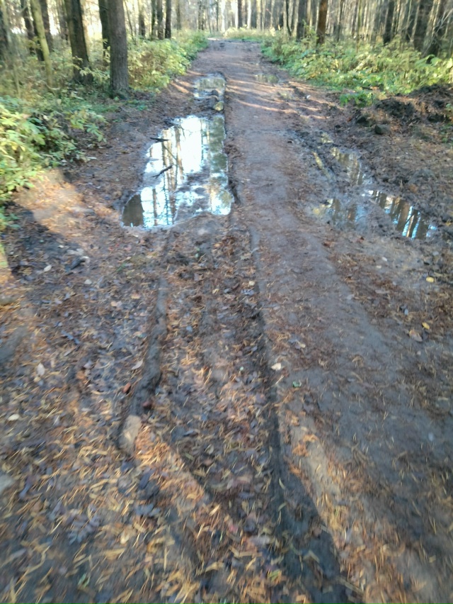 Добрый день, отрадненцы. Возник вопрос к тем, кто в курс...