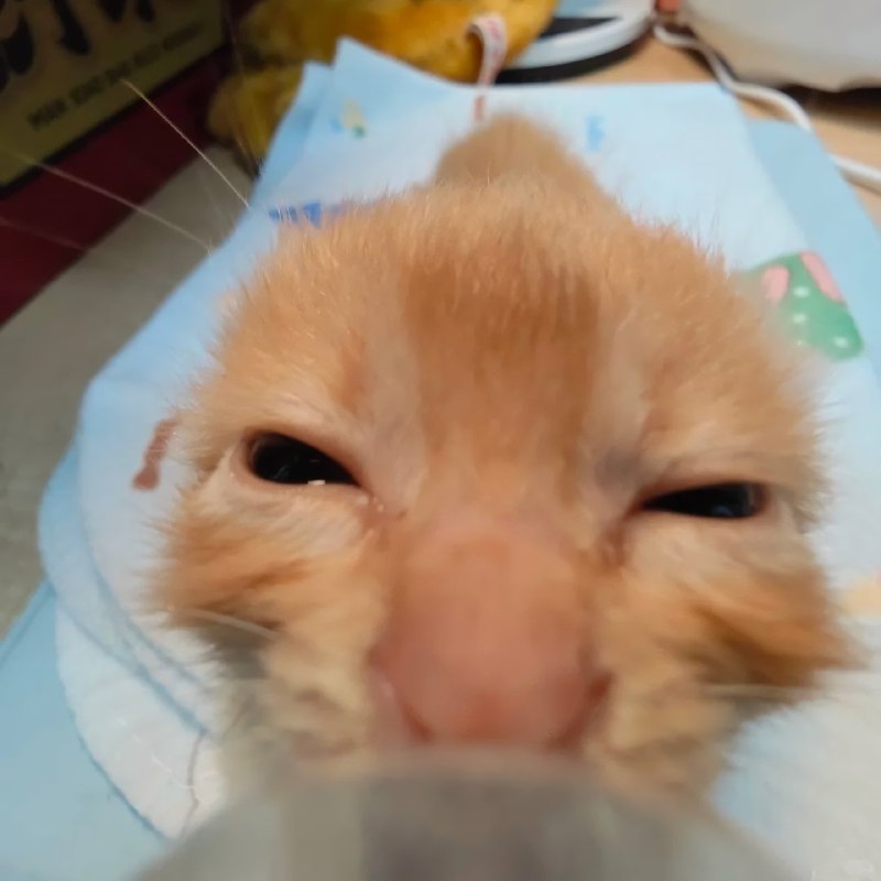 Вы только что были пососаны