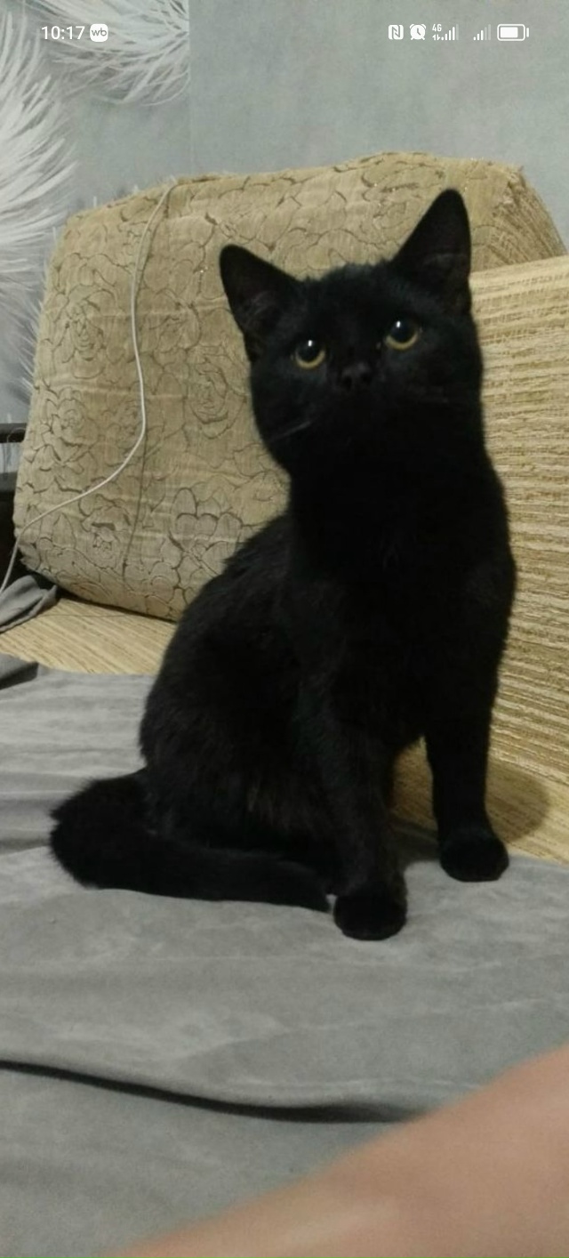 19.11.2025г. к нам на Осипенко (через дорогу от магазина Хор?...