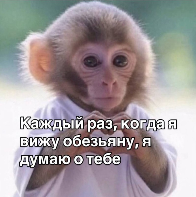 Перешли 😄