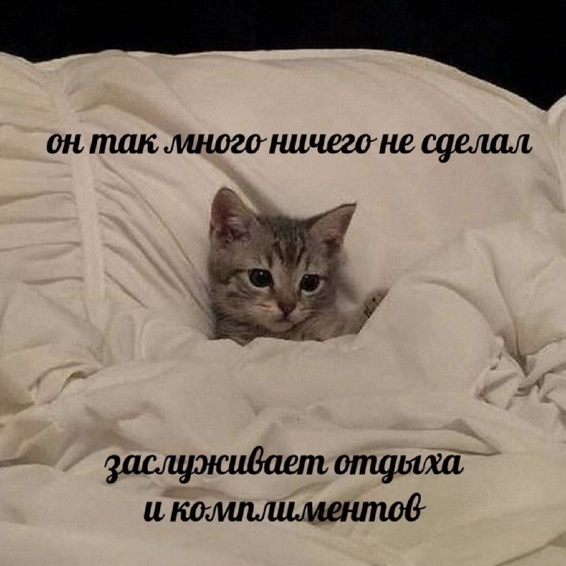 Ночная подборочка
Спать, режим