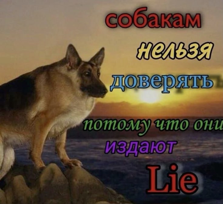 Ночная подборочка
Спать, режим