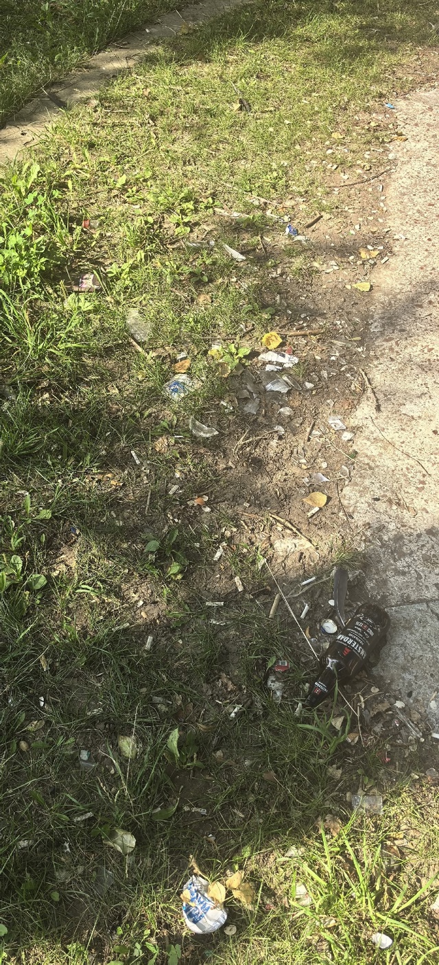 Свиньи - больше нечего добавить 🤦