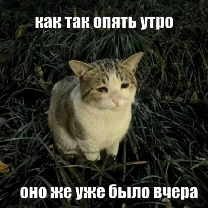 Утренняя подборочка