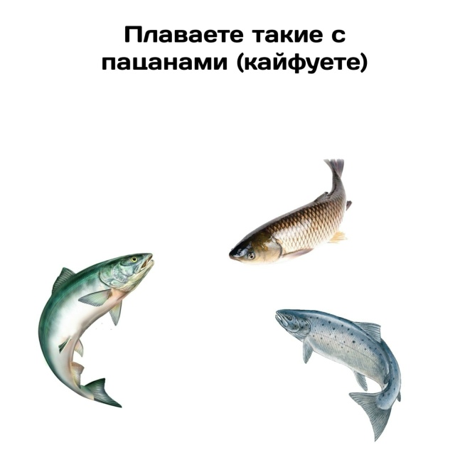 Эволюция, бессердечная ты стерва