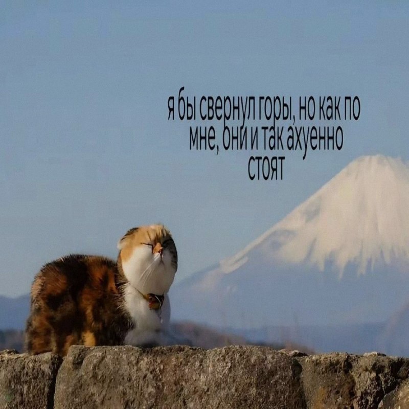 Ночная подборочка
Выходные, не спим