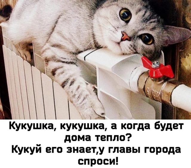 У меня есть вопросы. Когда же Либежевская котельная пр?...