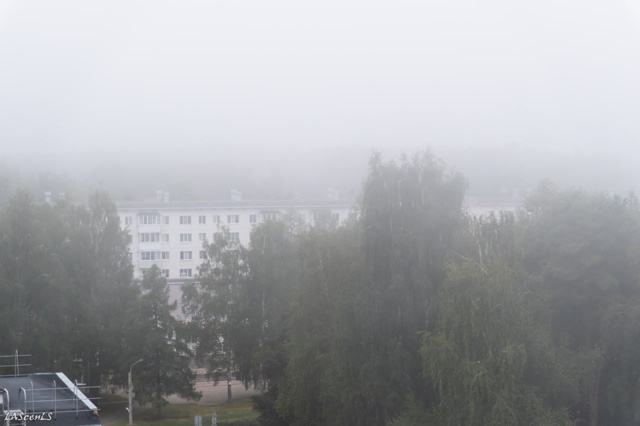Наступает время туманов.
10.08.25
Фото: Юрий Жарков
