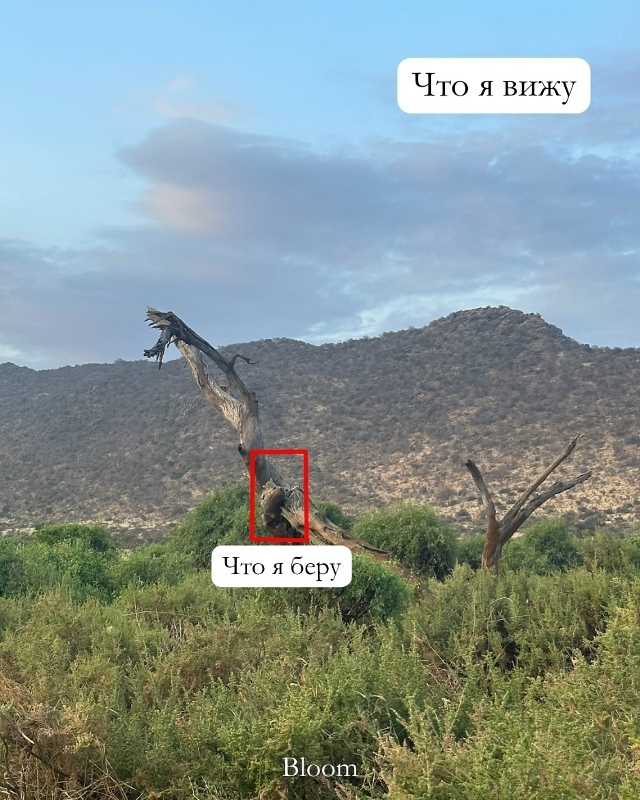 Фотограф дикой природы Нили Гудхка представила уникал...