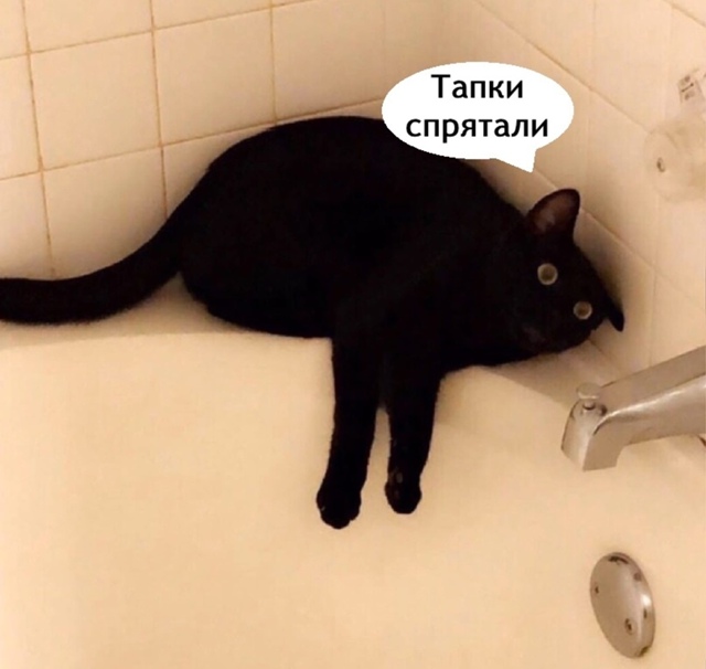 Жаль этого добряка конечно