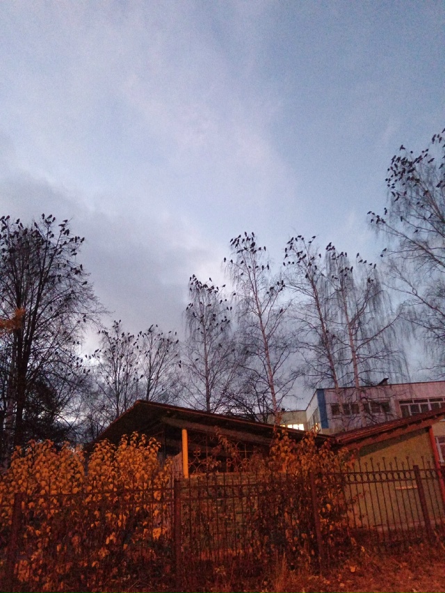 😬🐦‍⬛🐦‍⬛🐦‍⬛🐦‍⬛🐦‍⬛🐦‍⬛🐦‍⬛🐦‍⬛🐦‍⬛🐦??...