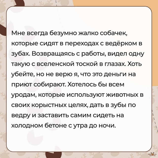 — Безумно жалко собачек...
#Подслушано_собаки@overhear