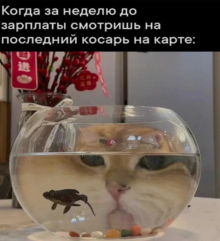 Ночная подборочка
Спать, режим