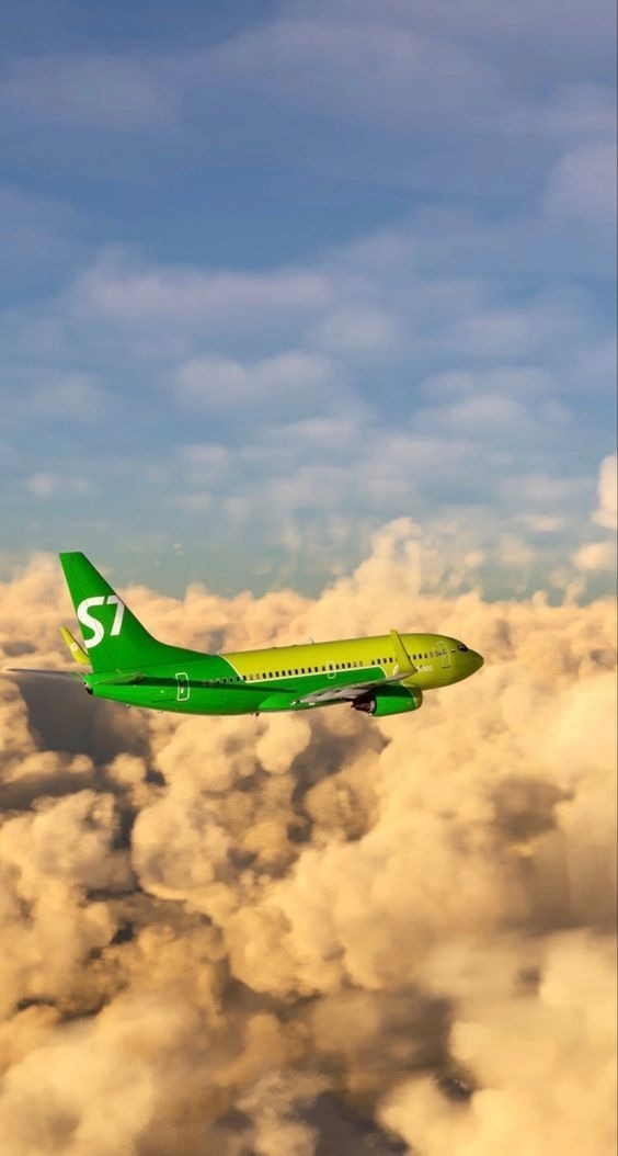 Авиакомпания «Сибирь» оштрафована за овербукинг на ре...